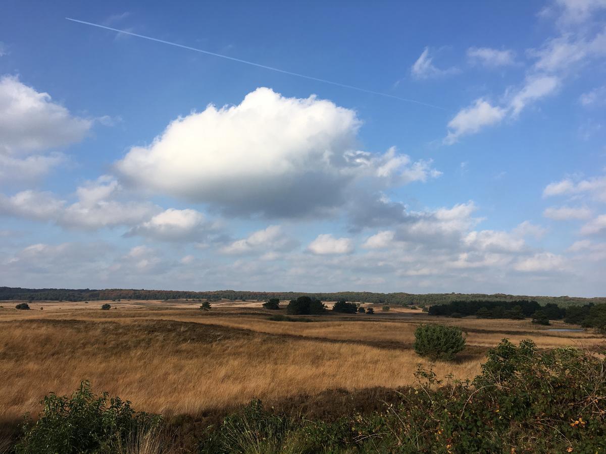 De Slaapfabriek Vakantiehuis En Trainingslocatie Teuge Екстериор снимка
